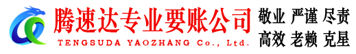 龙湖讨债公司